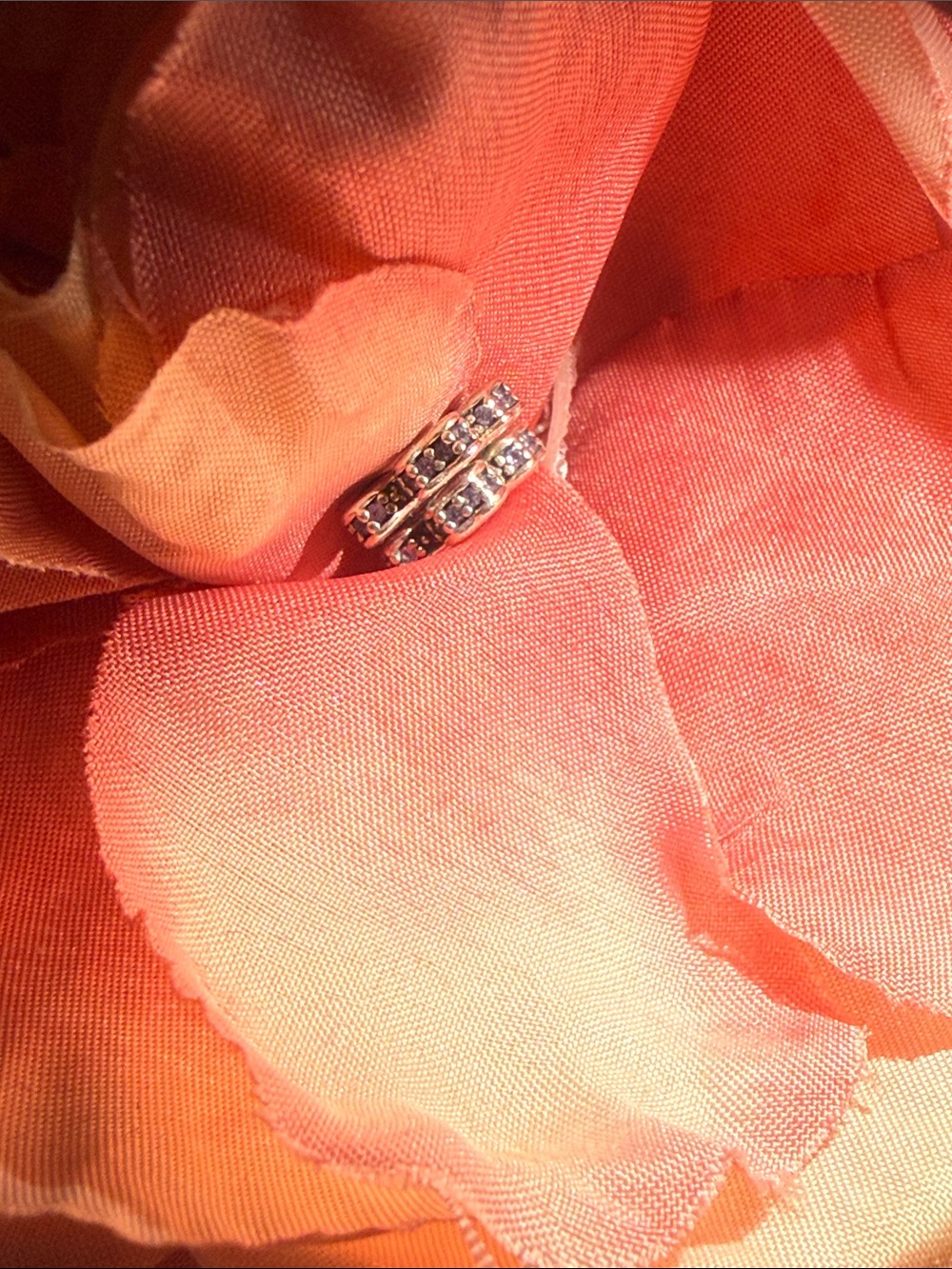 Pandora set of 2 Wildflower Meadow Spacer CharmS -RETIRED Discontinued